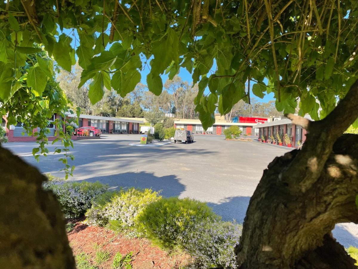 Seymour Motel Zewnętrze zdjęcie